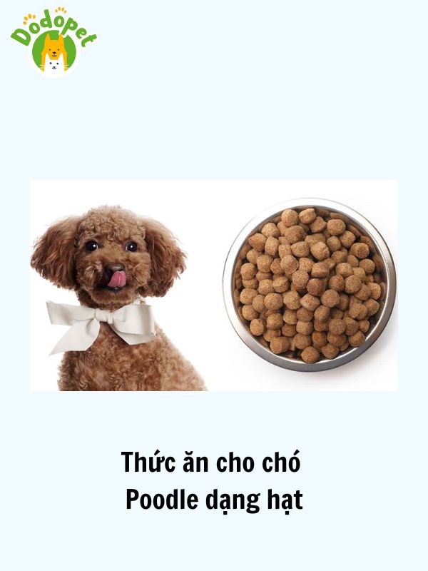 Các-loại-thức-ăn-cho-chó-Poodle-dinh-dưỡng-có-chất-lượng-tốt-2