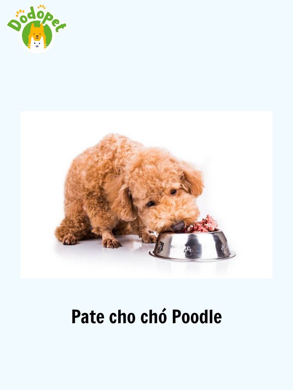 Các-loại-thức-ăn-cho-chó-Poodle-dinh-dưỡng-có-chất-lượng-tốt-4